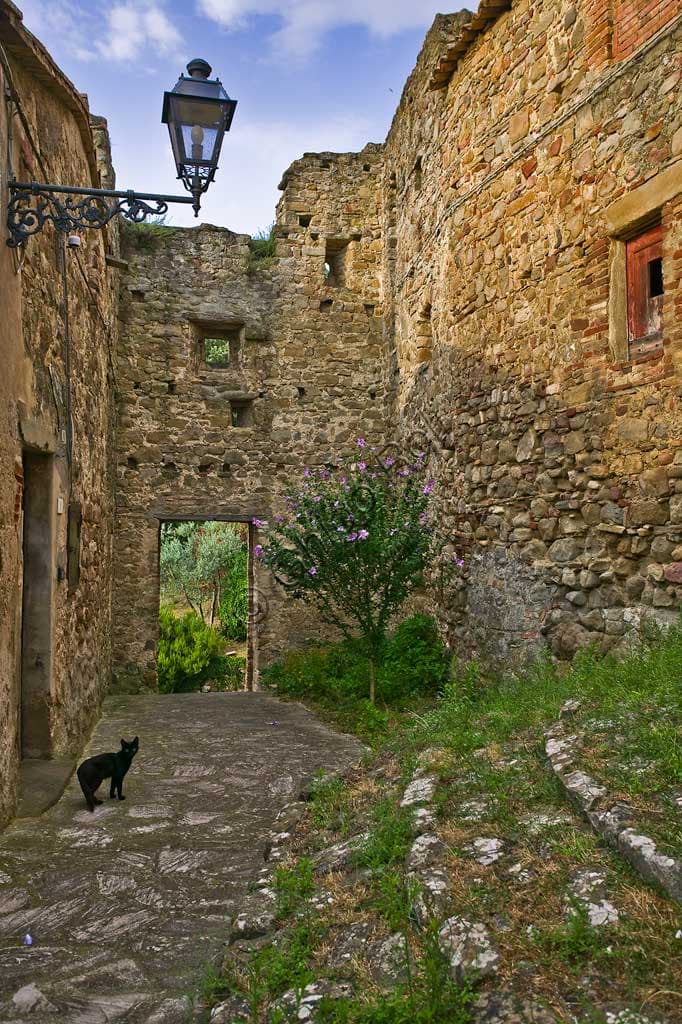 Narrow lane in the hamlet of Ceralto with a streetlamp and a small black cat