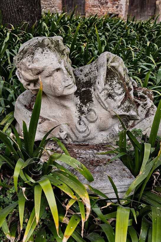 Busto scultoreo in marmo o pietra nel cortile rinascimentale del Teatro Olimpico di Vicenza