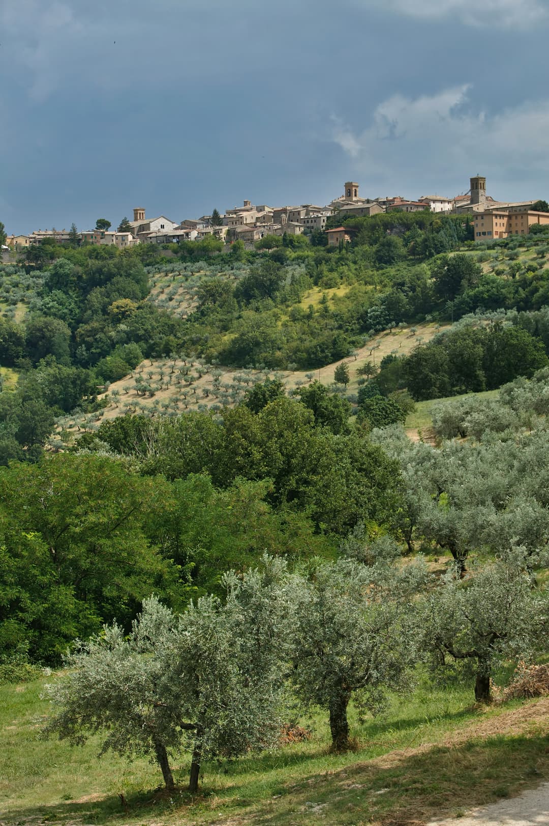 Panoramic view of the town of Montefalco and the surrounding countryside in Umbria, Italy