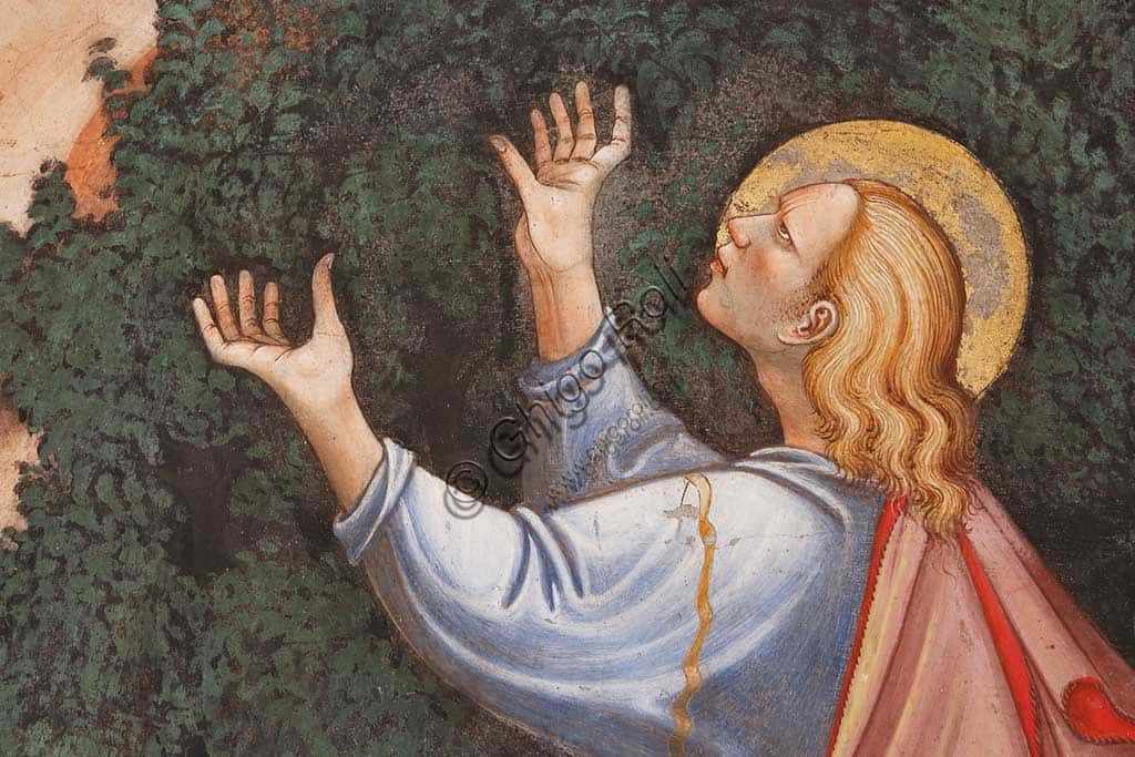 Fresco of the Assumption of the Virgin with St Thomas at Vignola
