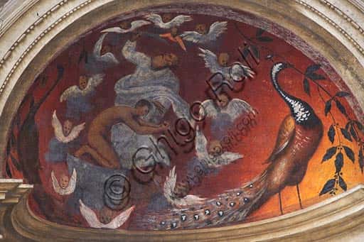 Peacock in the Deposition Fresco by Pordenone in Cremona Cathedral