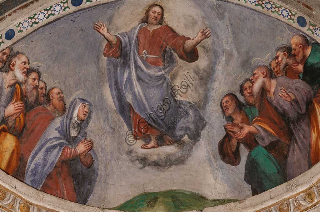 Fresco of The Ascension of Christ by Pordenone, Pallavicino Chapel, Cortemaggiore