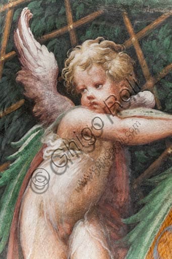 Dettaglio di putto dall'affresco del Parmigianino, Rocca Sanvitale di Fontanellato, mito di Diana e Atteone
