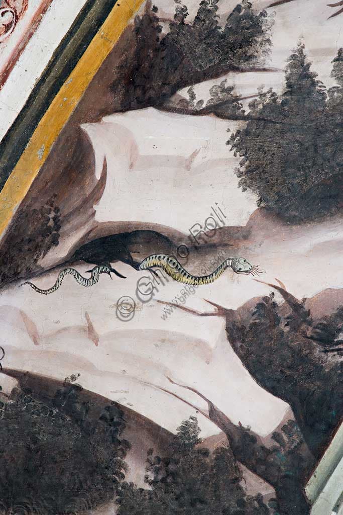 Resurrection fresco detail showing a snake in vegetation changing its skin, Contrari Chapel, Vignola Stronghold