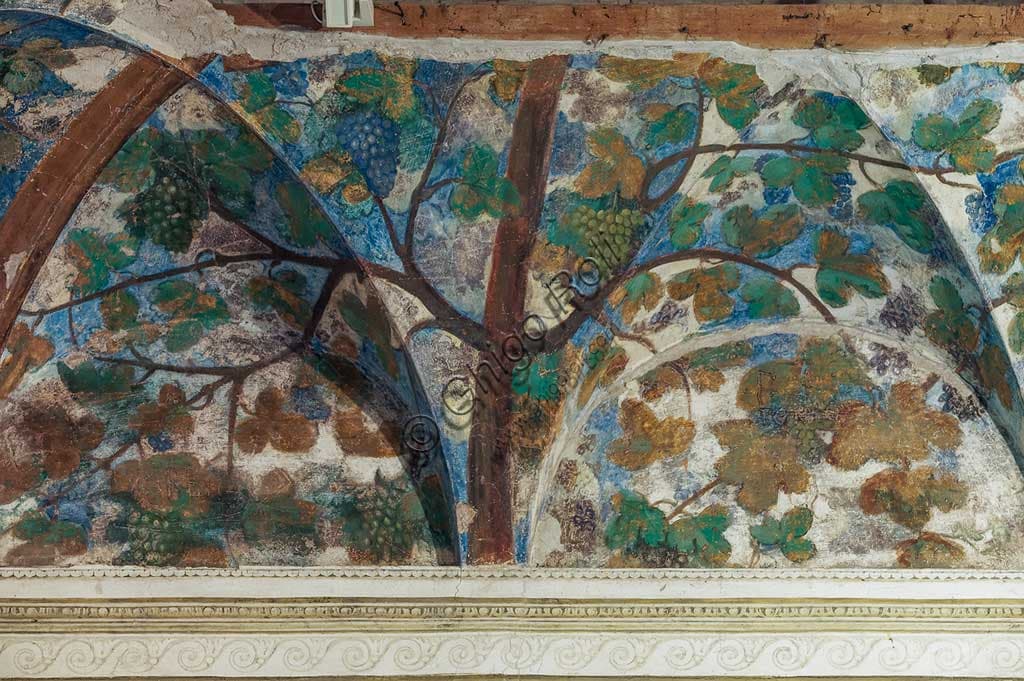 Detail fresco vine shoots bunches grapes Vineyard Hall Belriguardo 1537