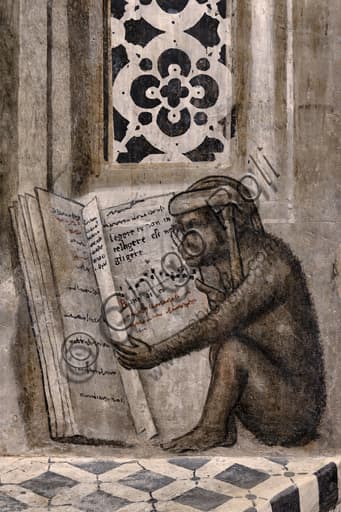 Affresco scimmia con occhiali che legge libro frase latina, dettaglio Libreria Alberi MODO Orvieto