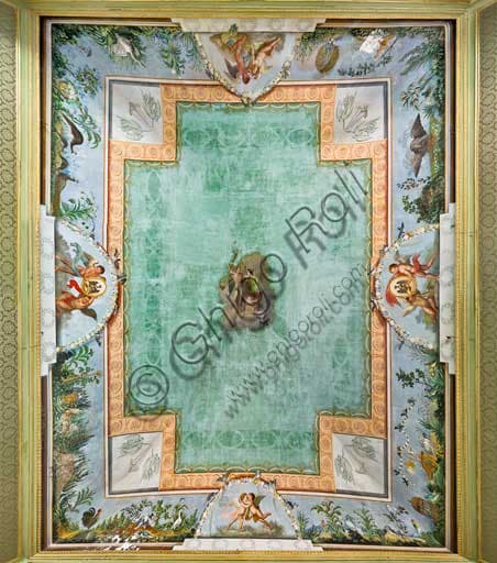 Detail of the baroque frescoes on the vaulted ceiling of the Birds Room, Palazzo dei Normanni (Royal Palace) in Palermo, Sicily