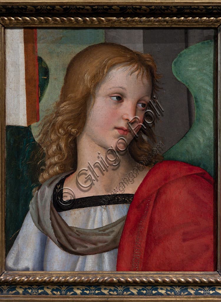 Painting Angel by Raphael Sanzio, Tosio Martinengo Picture Gallery, Brescia