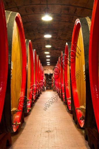 Sherry barrels for aging Braulio tonic liquor in the cellars of Distilleria Peloni