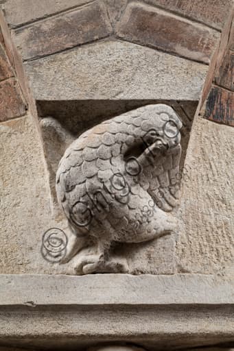 Sculptural detail of a medieval Corinthian capital with a bird in the abacus protome, Ghirlandina Tower, Modena
