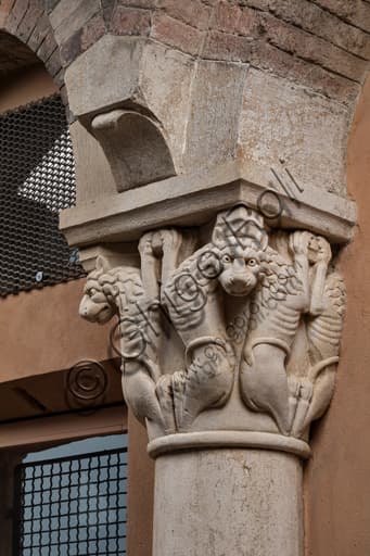 Sculptural detail of the Romanesque capital with rampant lions, Torresani Hall, Ghirlandina Tower, Modena