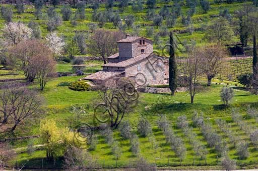 Veduta del Castello d'Albola, borgo medievale e azienda vinicola a Radda in Chianti, circondato da vigneti, ulivi e cipressi