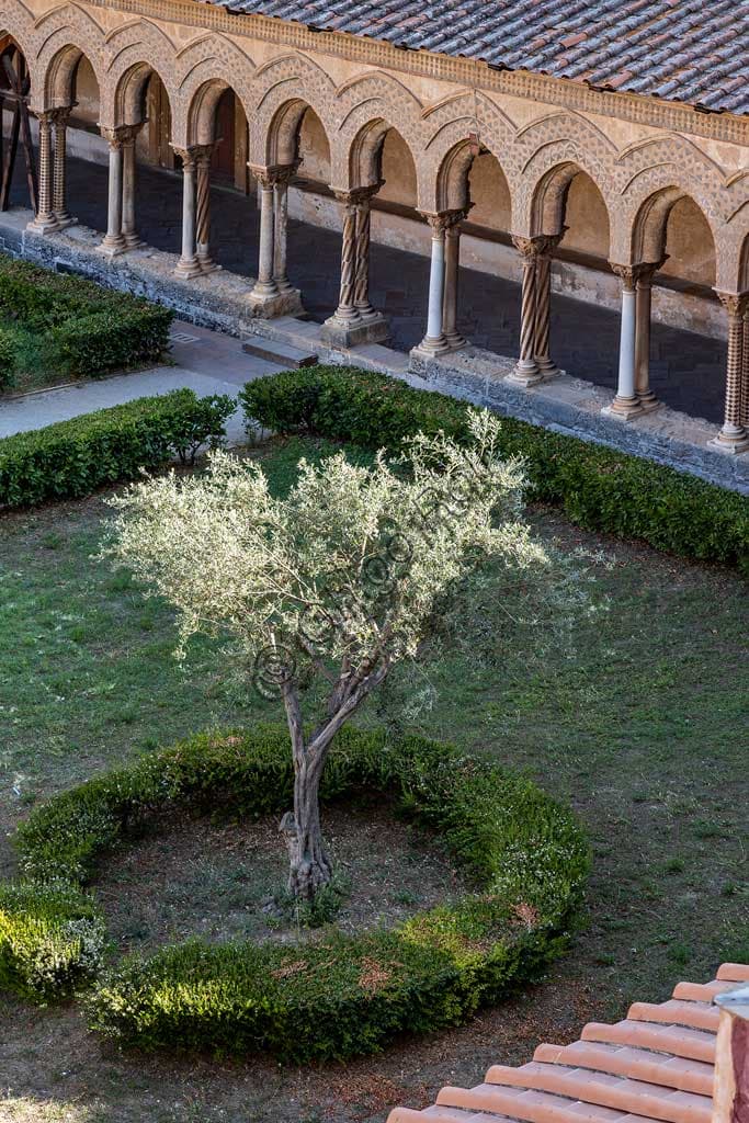 Scorcio del chiostro del Duomo di Monreale in Sicilia, con archi normanni del XII secolo e un ulivo al centro.