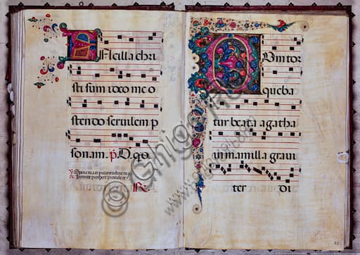 Detail of the Foliated Initial illumination in the Piccolomini Library choir book, by Venturino Mercati