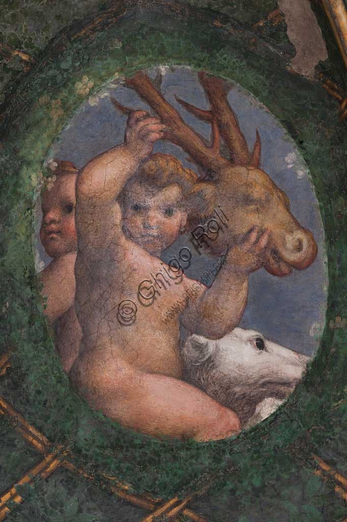 Particolare affresco Correggio Camera della Badessa Parma con putti cane cervo