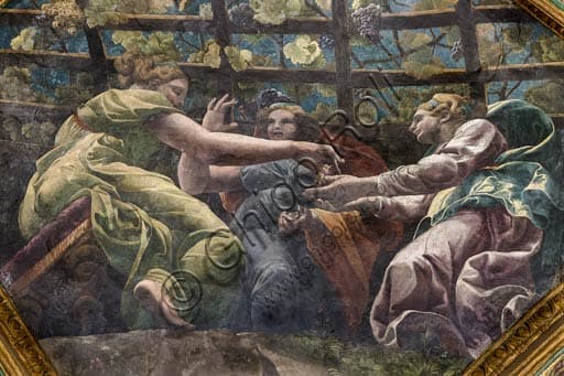 Detail of vault fresco Chamber of Cupid and Psyche Palazzo Te Mantua, Giulio Romano, young women and grapes
