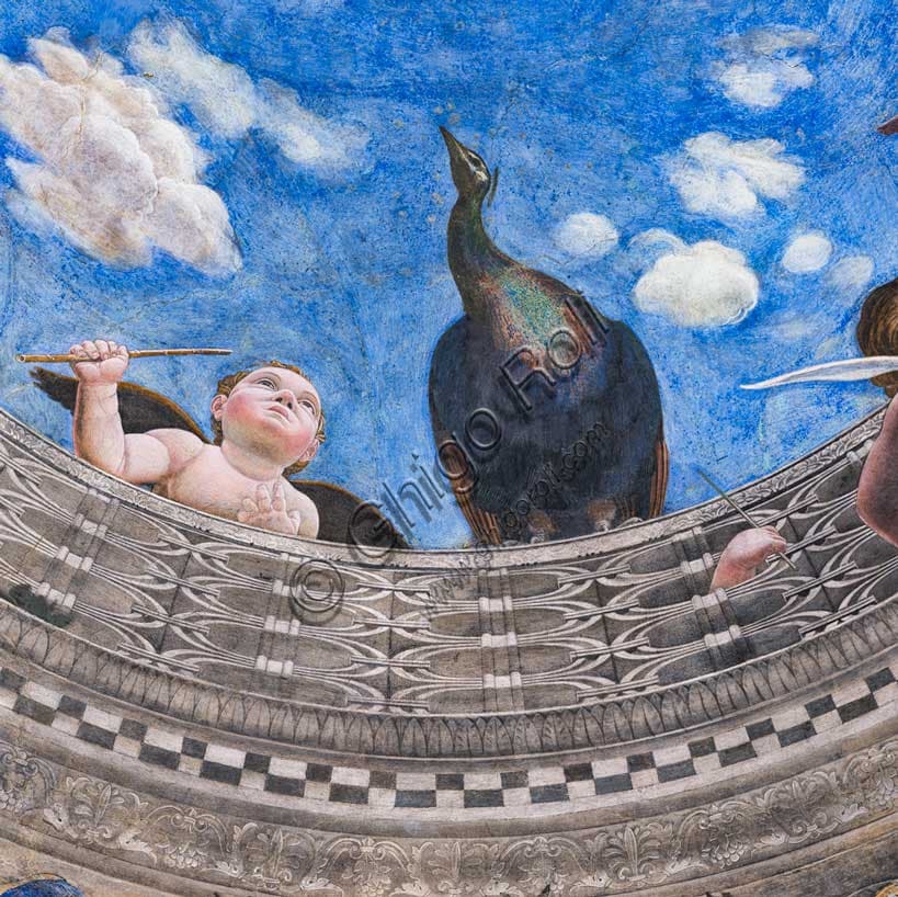Detail of Camera Picta oculus Mantua: putto and peacock on balustrade, fresco by Andrea Mantegna (1465-1474)