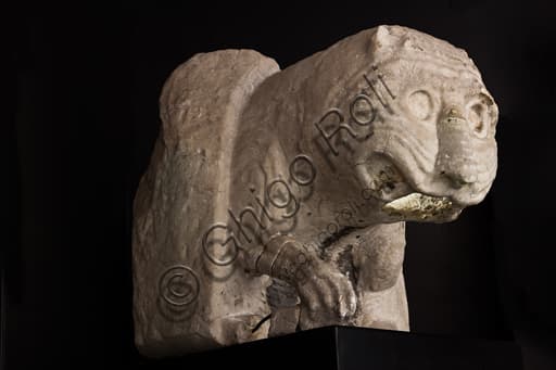 Gothic lion-shaped gargoyle, waterspout from St. Lawrence Cathedral in Genoa, Italy