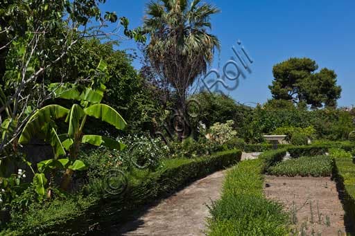 Gardens and trees, including palm trees, in St. Peter's Bastion at the Palazzo dei Normanni in Palermo