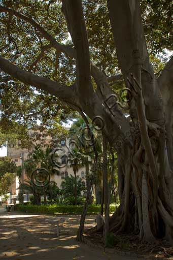 View of the gardens with palm trees at the St. Peter Bastion, Royal Palace of Palermo