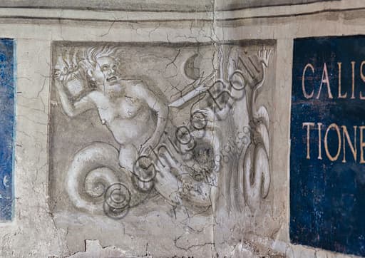 Dettaglio grisaille con lotta di divinità marine, basamento Libreria Piccolomini Duomo Siena