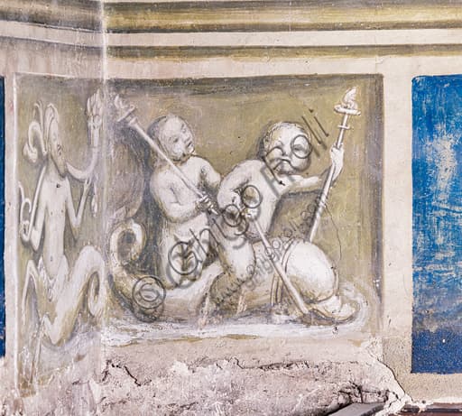 Putti che cavalcano un delfino, grisaille rinascimentale nella Libreria Piccolomini del Duomo di Siena, Toscana