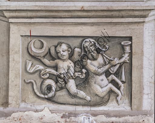 Dettaglio grisaille con putto e tritone, parete sud-ovest Libreria Piccolomini, Duomo di Siena