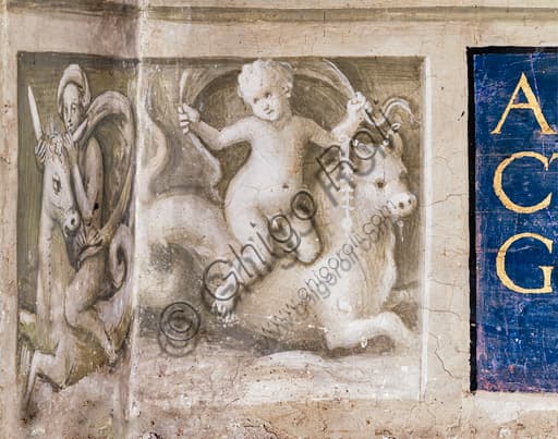 Detail of the maritime thiasus grisaille, Piccolomini Library basement, Siena Cathedral