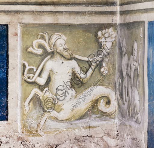 Dettaglio grisaille tritone con cornucopia, basamento Libreria Piccolomini, Duomo Siena