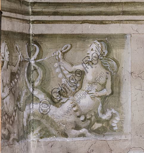 Detail of grisaille with entwined-tailed tritonesses, Piccolomini Library, Siena Cathedral
