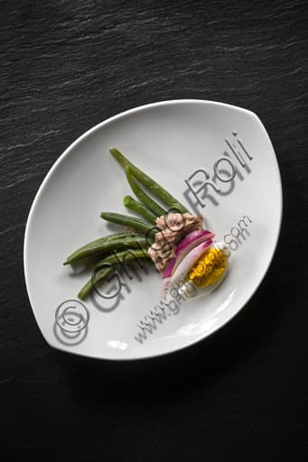 Image of a green bean and tuna salad with onions and hard-boiled egg on a white plate