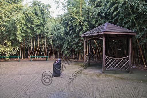Bamboo plants corner in the Labirinto della Masone, Fontanellato, by Franco Maria Ricci