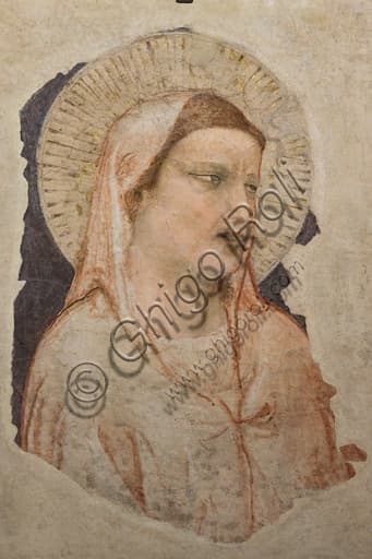 Grieving Madonna by Giotto, detached fresco from 1305-10, Basilica of the Holy Cross, Florence