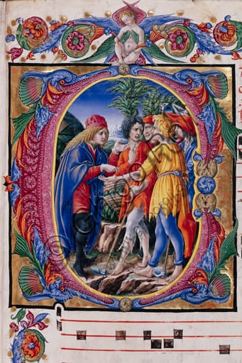 Detail of the Parable of the Vine-dressers miniature, Liberale da Verona, Piccolomini Library