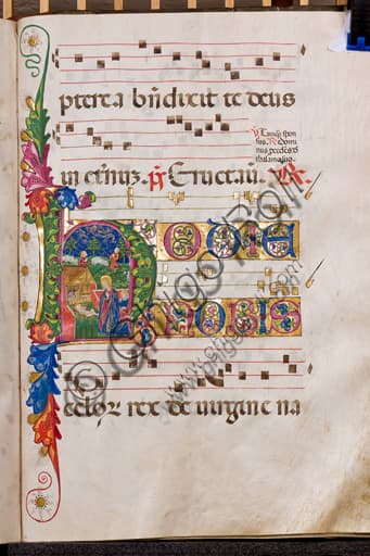 Nativity miniature in the Antiphonary 'de tempore' of the Diocesan Museum of Genoa, Italy. 15th-century membranaceous manuscript illumination.