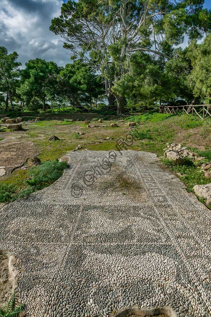 Dettaglio mosaico ciottoli bianchi neri Mozia con raffigurazione leone e cervide, Casa dei Mosaici