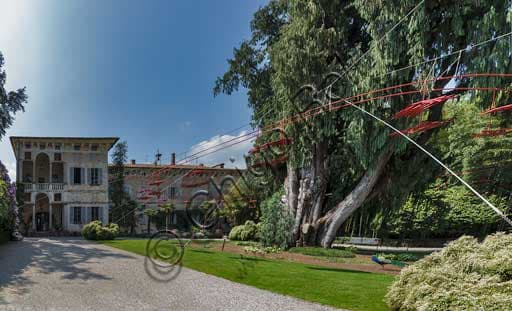View of the Loggia at Borromeo Palace on Isola Madre with the Kashmir Cypress and Velasco Vitali's Playtime artwork