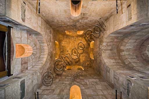 Zenithal view of the frescoed vault, Representation Hall, Pisana Tower, Palace of the Normans (Royal Palace), Palermo