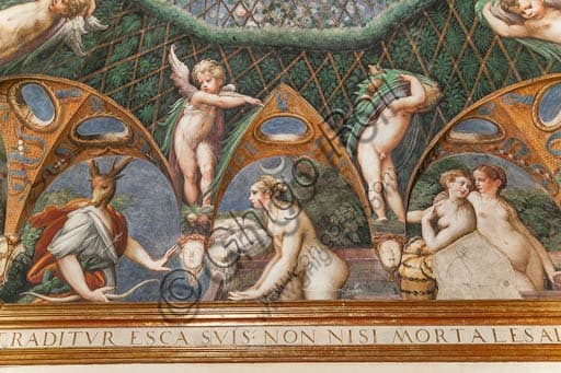 Particolare degli affreschi del Parmigianino con il mito di Diana e Atteone, Rocca Sanvitale di Fontanellato