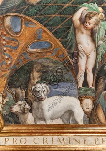 Dettaglio con cani affresco Parmigianino Diana e Atteone Rocca Sanvitale Fontanellato