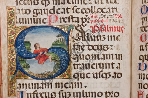 Detail of Genoese Psalter illumination 1485-1490: King David clinging to the letter S
