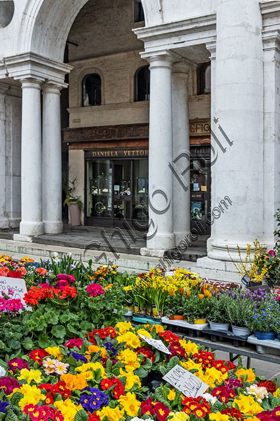 Flower stall in Piazza dei Signori Vicenza with Palladian Basilica and Daniela Vettori workshop