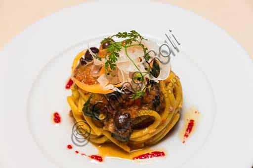 Plate of fresh pici pasta with rich octopus sauce, signature dish at Olio & Convivium restaurant in downtown Florence