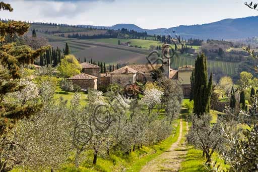 Pieve romanica di Santa Maria Novella a Radda in Chianti, Toscana, con alberi da frutto in fiore in primo piano