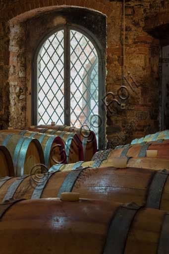 Veduta della Rocca di Castagnoli, antica fortezza medievale a Gaiole in Chianti, oggi cantina e agriturismo con vigneti