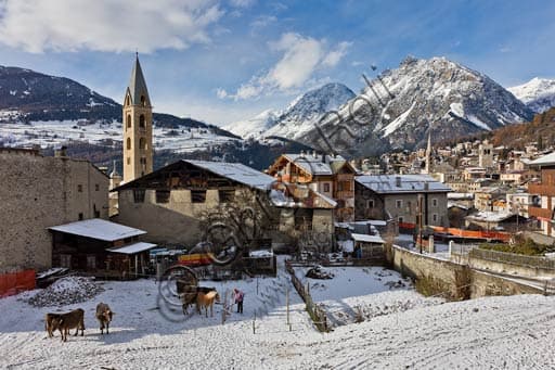 Panoramic view of Combo with Bormio town centre visible in the background on the right, Italian Alpine landscape