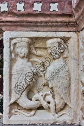 Harpies relief panel, base decoration main doorway St. Lawrence Cathedral Genoa Italy