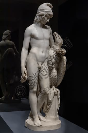 Marble statue depicting Standing Ganymede with Jupiter's Eagle, 1819 work by Camillo Pacetti