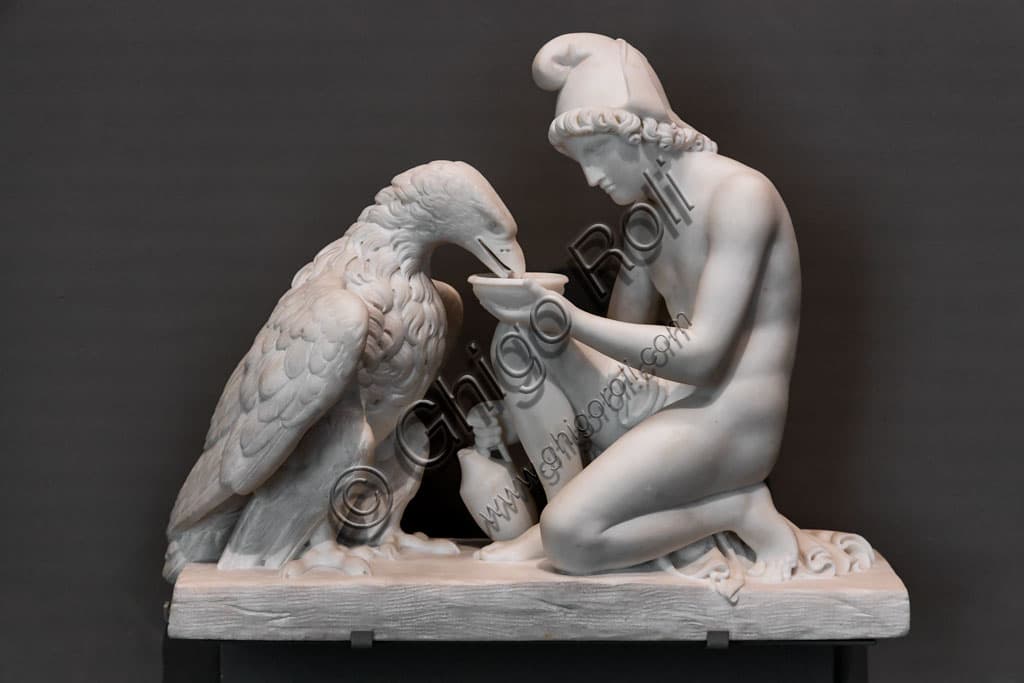 Marble sculpture Ganymede with Jupiter's eagle by Bertel Thorvaldsen, Pinacoteca Tosio Martinengo, Brescia