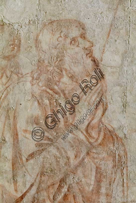 Sinopia di Benozzo Gozzoli con uomo anziano inginocchiato - La verga di Aronne, Pisa